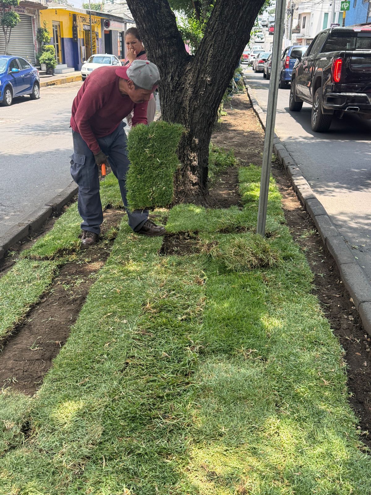 Jardín terminado