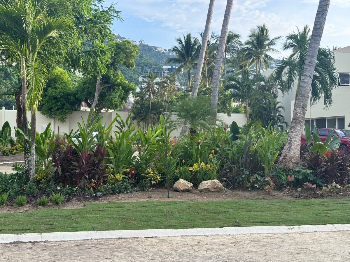 Jardín terminado